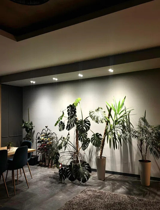 PENTHOUSE, 120 mp, PANORAMA 