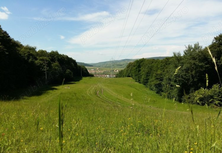 OPORTUNITATE UNICA, Teren inravilan strada Uliului 17234 mp 