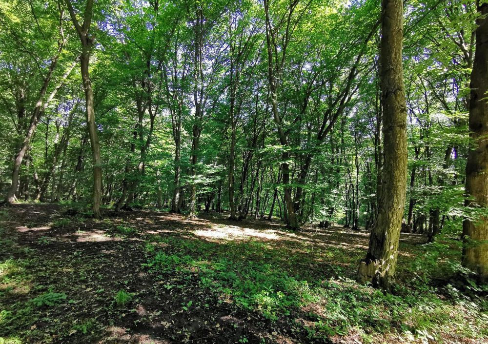 OPORTUNITATE UNICA, Teren inravilan strada Uliului 17234 mp 