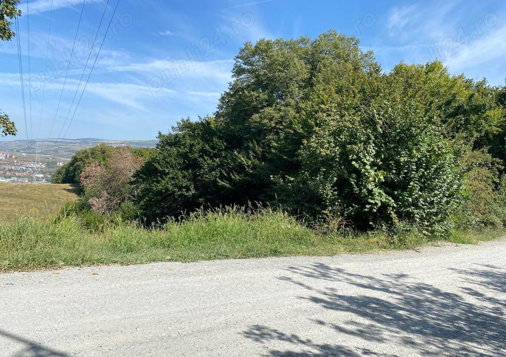 OPORTUNITATE UNICA, Teren inravilan strada Uliului 17234 mp 