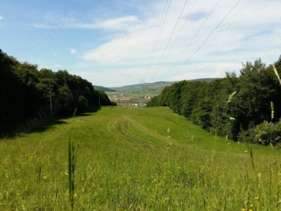 OPORTUNITATE UNICA, Teren inravilan strada Uliului 17234 mp 