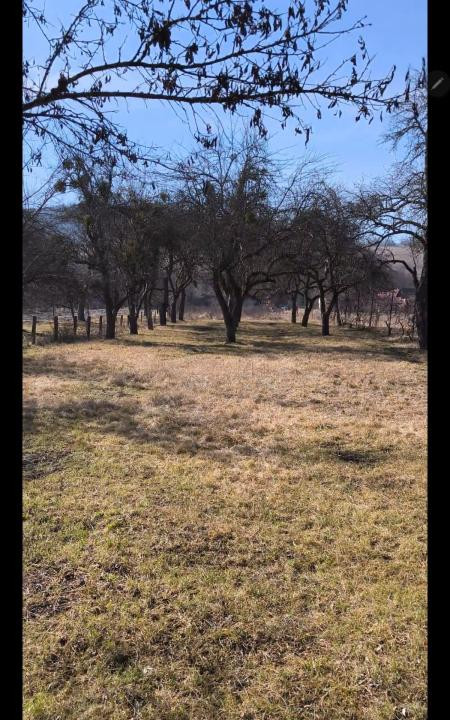 Teren intravilan, 2848 MP, Arghisu