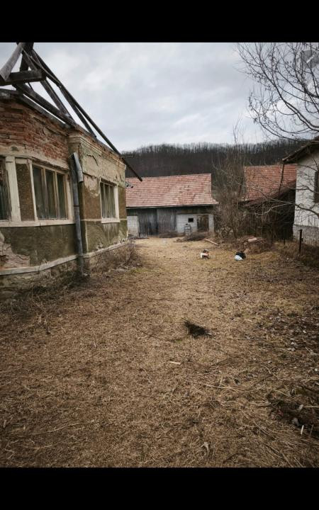 Teren intravilan, 2848 MP, Arghisu