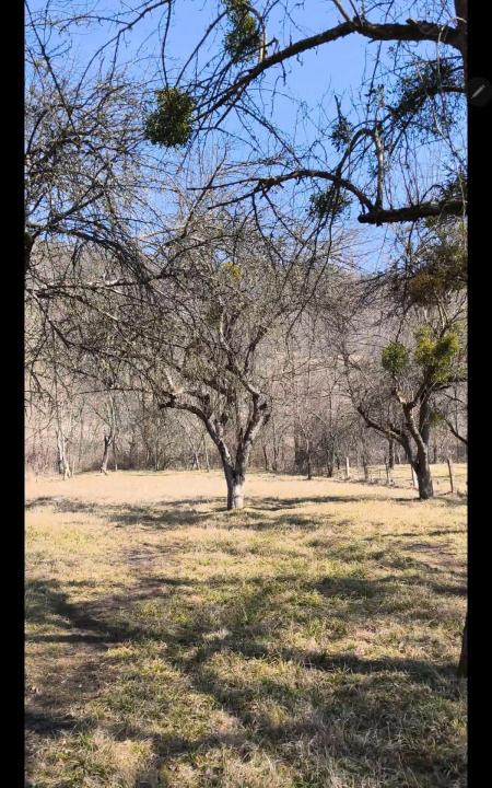 Teren intravilan, 2848 MP, Arghisu