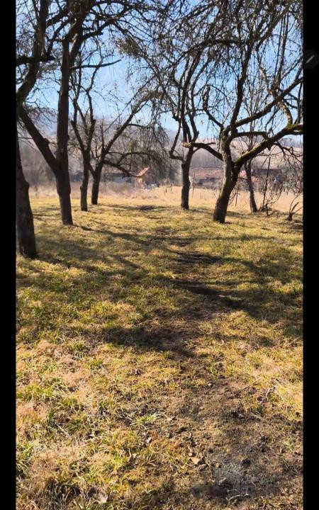 Teren intravilan, 2848 MP, Arghisu