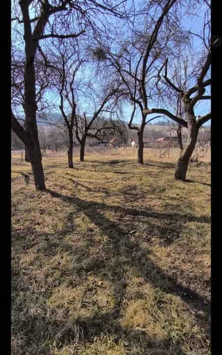 Teren intravilan, 2848 MP, Arghisu