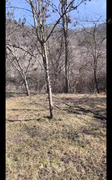 Teren intravilan, 2848 MP, Arghisu