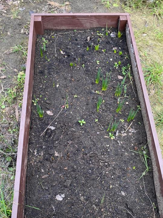 Apartament cu 3 camere, 65,2 mp, gradina de 90 mp, zona Teilor