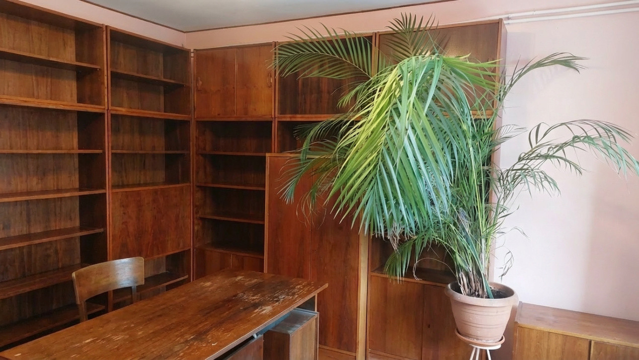 Apartament cu 3 camere, 61 mp, decomandat, etaj intermediar, zona Aleei Detunata