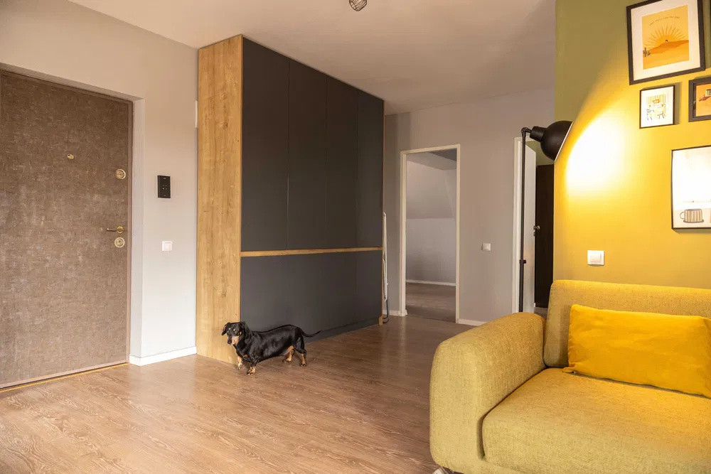 Apartament 3 camere, PETFRIENDLY, Europa