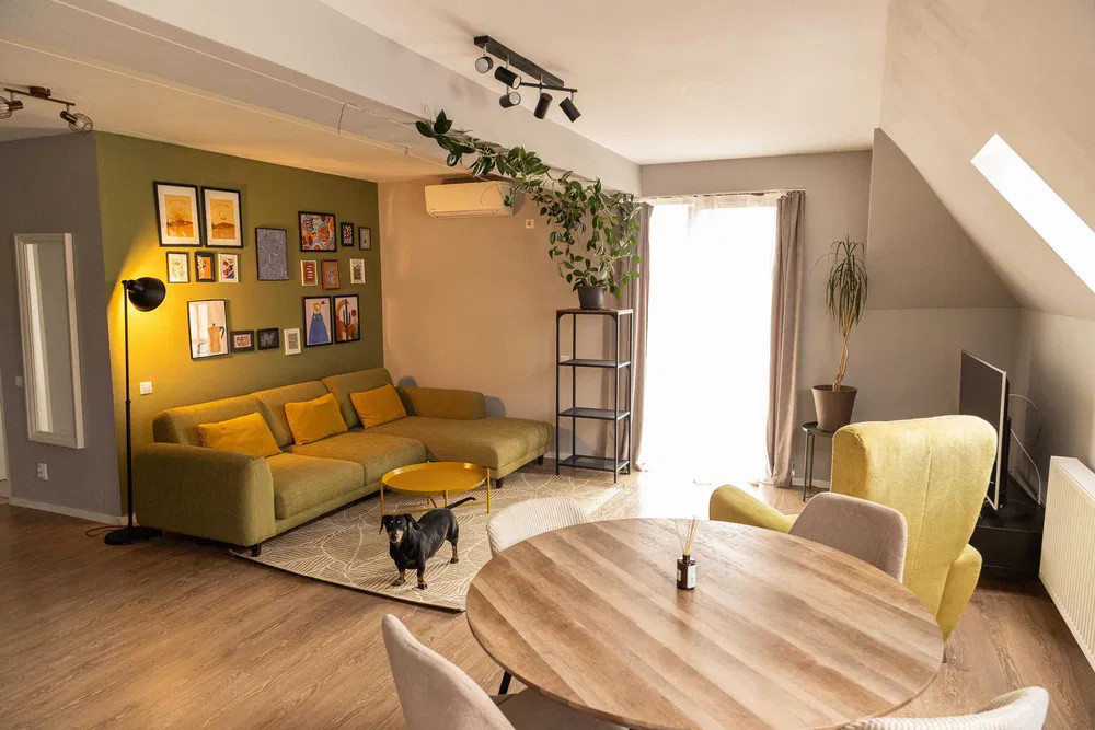 Apartament 3 camere, PETFRIENDLY, Europa
