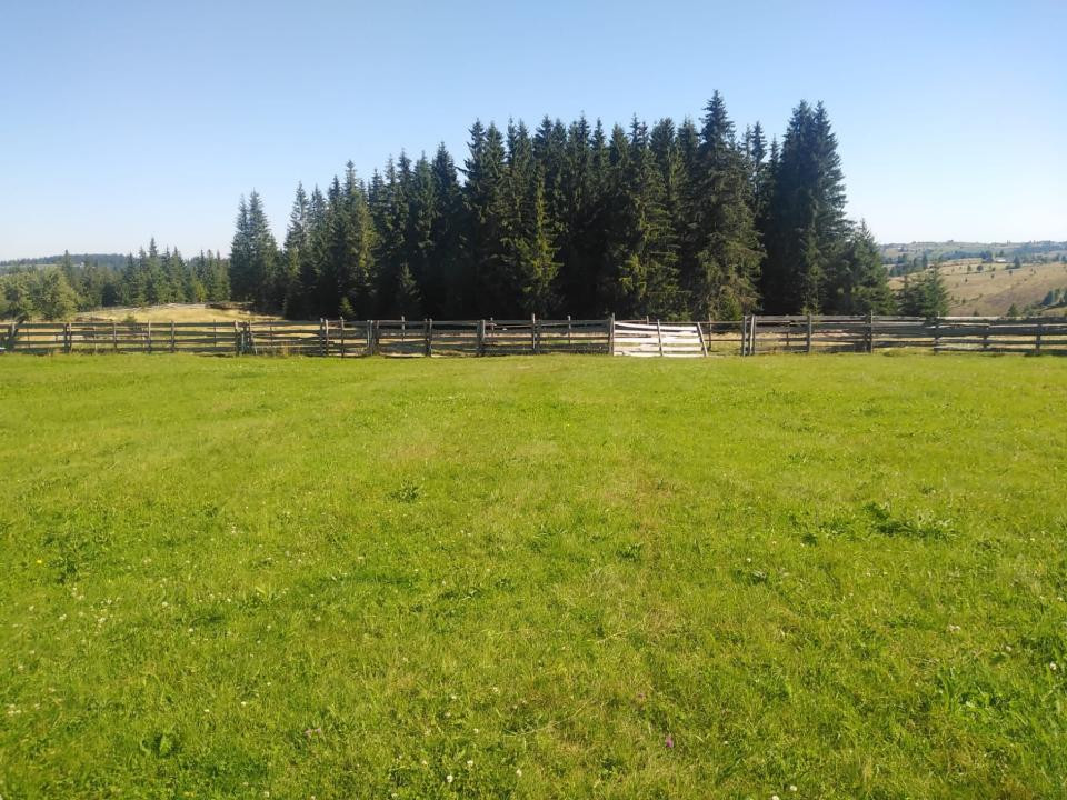 Teren intravilan in Maguri, 3538 mp,zona excelenta, cu potential !