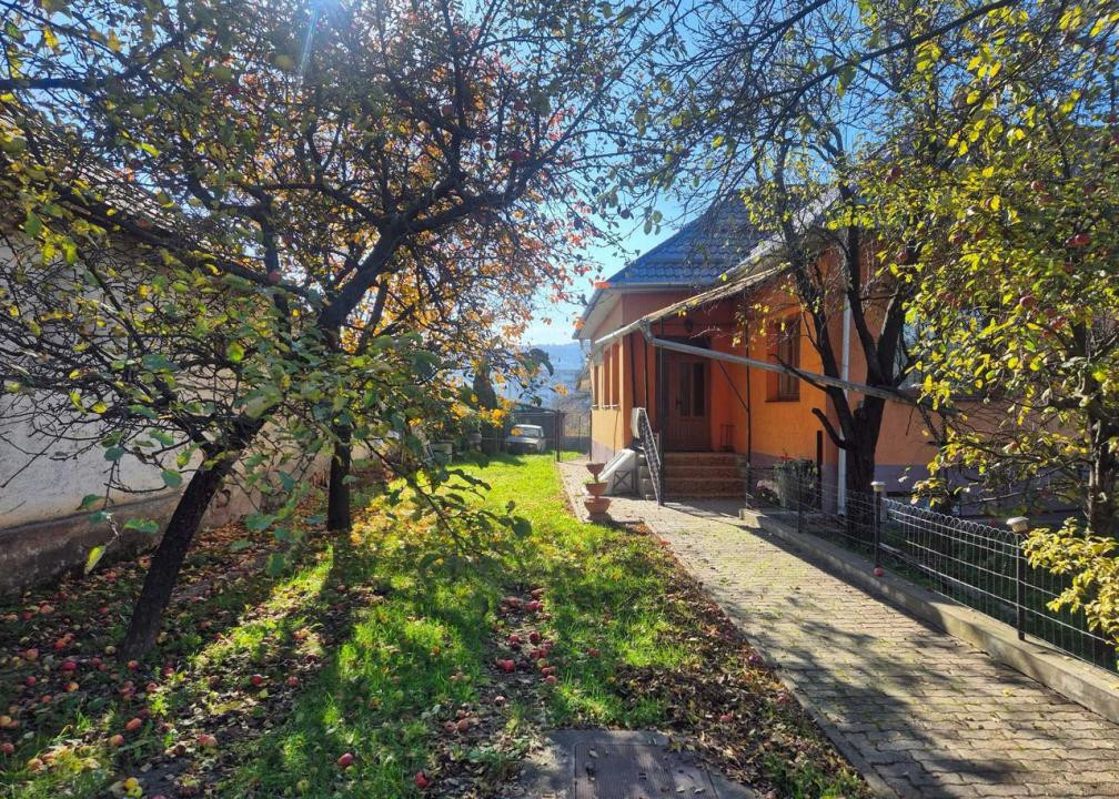 TEREN /CASA DE VANZARE , 1.580 , AVRAM IANCU 