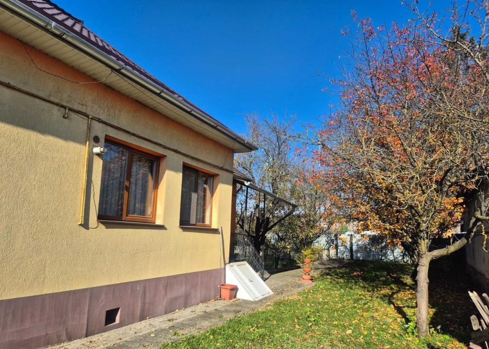 TEREN /CASA DE VANZARE , 1.580 , AVRAM IANCU 