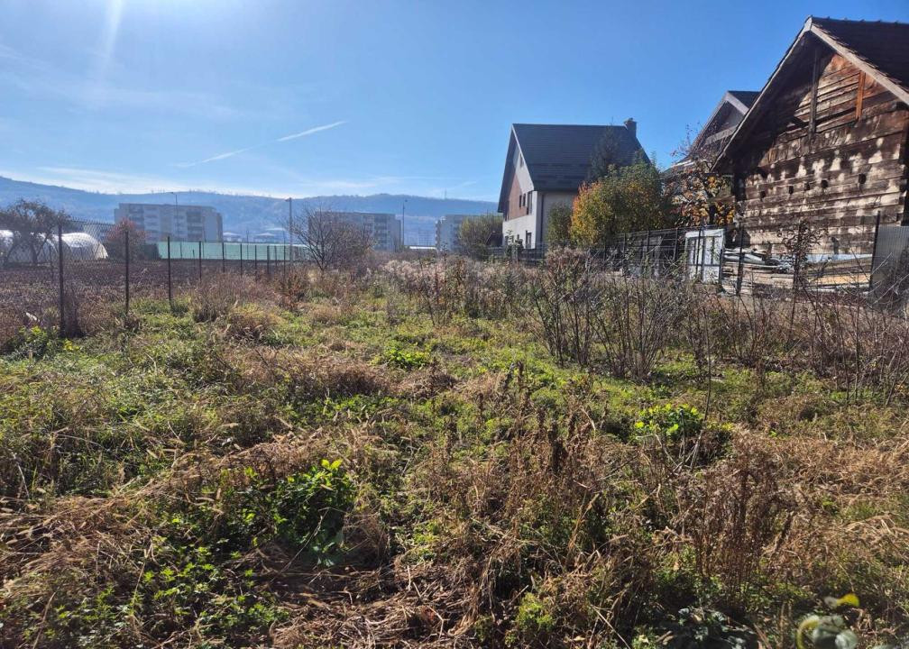 TEREN /CASA DE VANZARE , 1.580 , AVRAM IANCU 