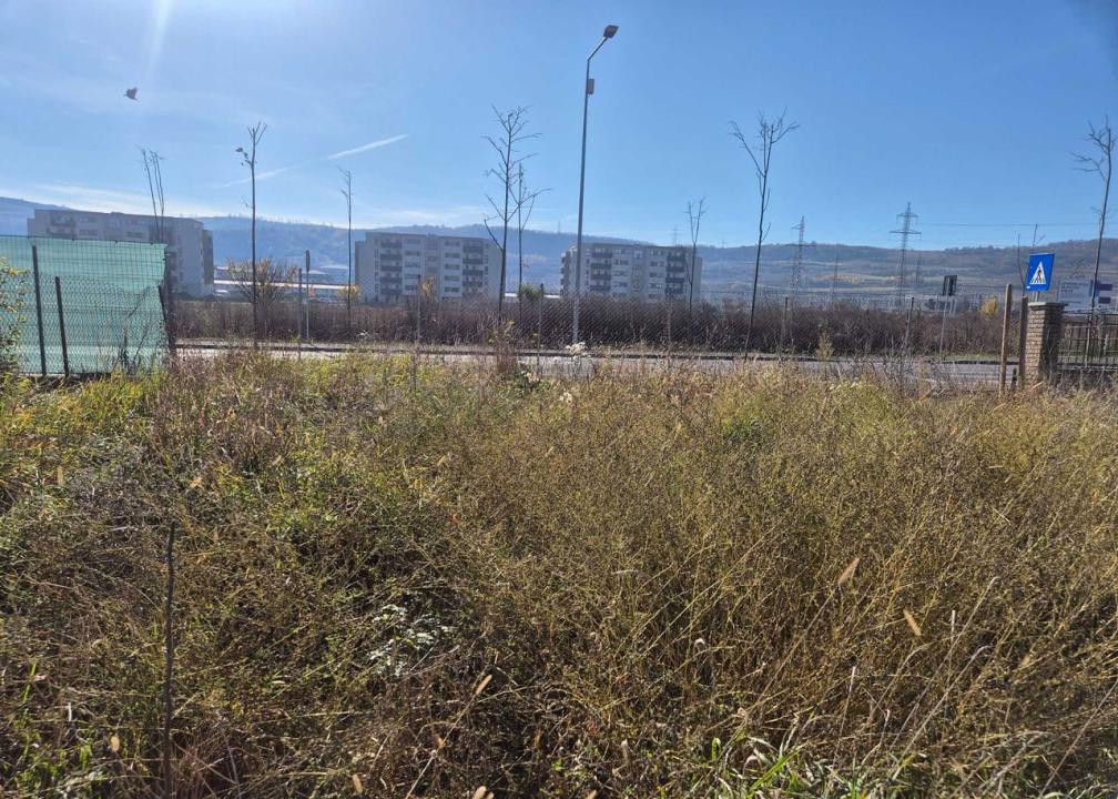 TEREN /CASA DE VANZARE , 1.580 , AVRAM IANCU 