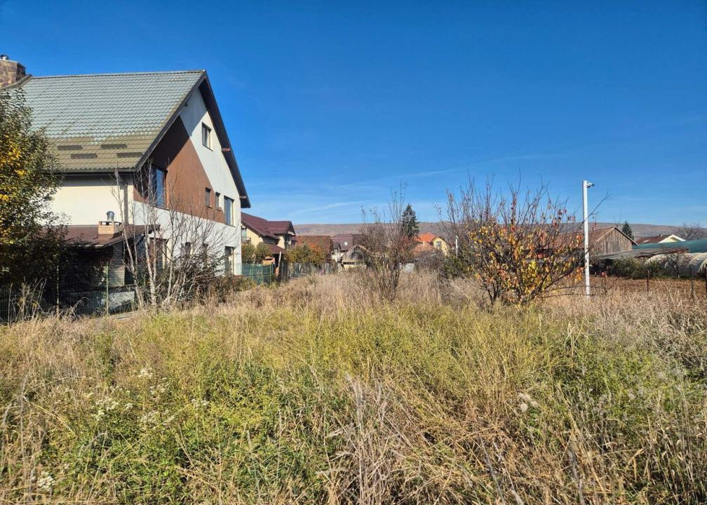 TEREN /CASA DE VANZARE , 1.580 , AVRAM IANCU 