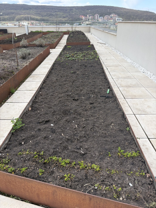 Apartament 2 camere decomandat, 55 mp, terasa, parcare, WINGS STUDIUM GREEN