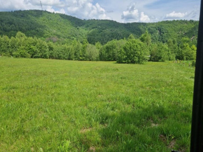 Oportunitate Investitie! Teren Intravilan, 4411 mp, Valea Ierii