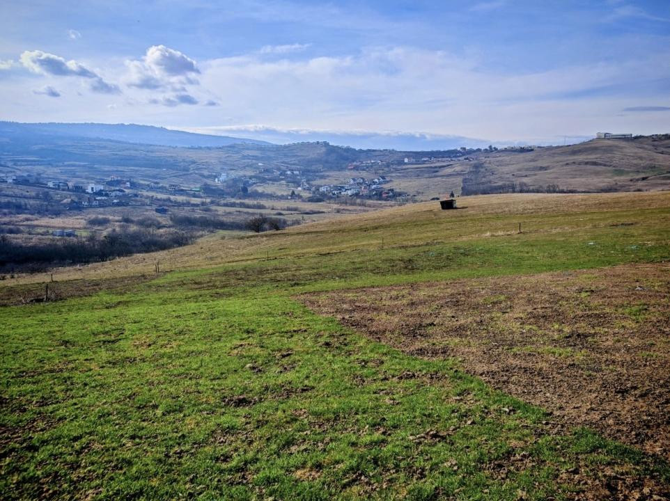  TEREN INTRAVILAN ,17.350 mp , in zona BORHANCI - SOPOR 