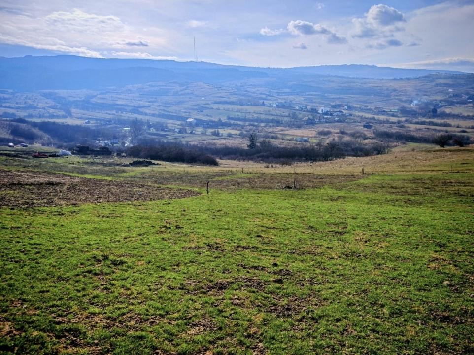  TEREN INTRAVILAN ,17.350 mp , in zona BORHANCI - SOPOR 