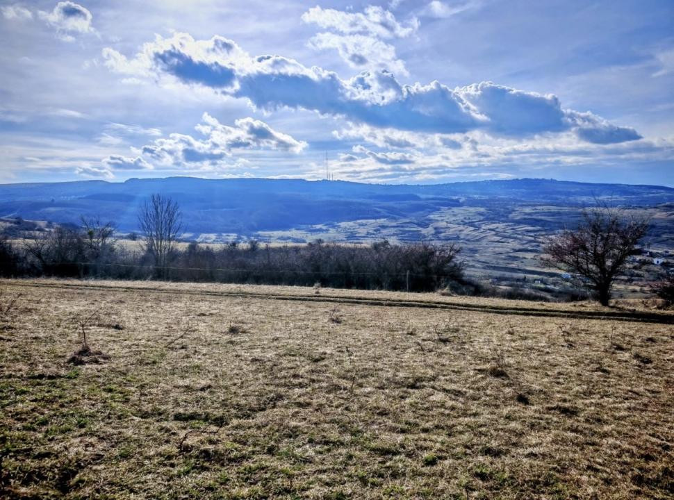  TEREN INTRAVILAN ,17.350 mp , in zona BORHANCI - SOPOR 