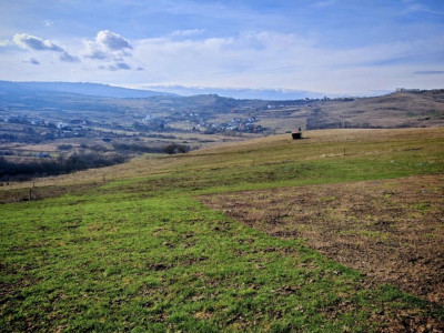  TEREN INTRAVILAN ,17.350 mp , in zona BORHANCI - SOPOR 