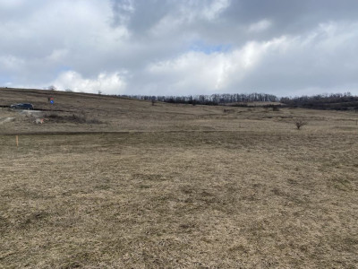 Teren extravilan 428 mp, Donath  