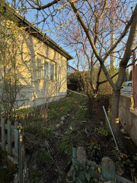 Casă Gruia | teren 380 mp | 2 fronturi | OPORTUNITATE