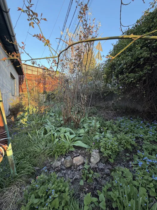 Casă Gruia | teren 380 mp | 2 fronturi | OPORTUNITATE