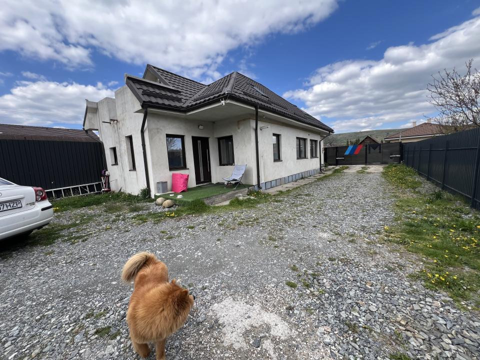 2 Case IDIVIDUALE ,TEREN 1.100 MP , Avram iancu 