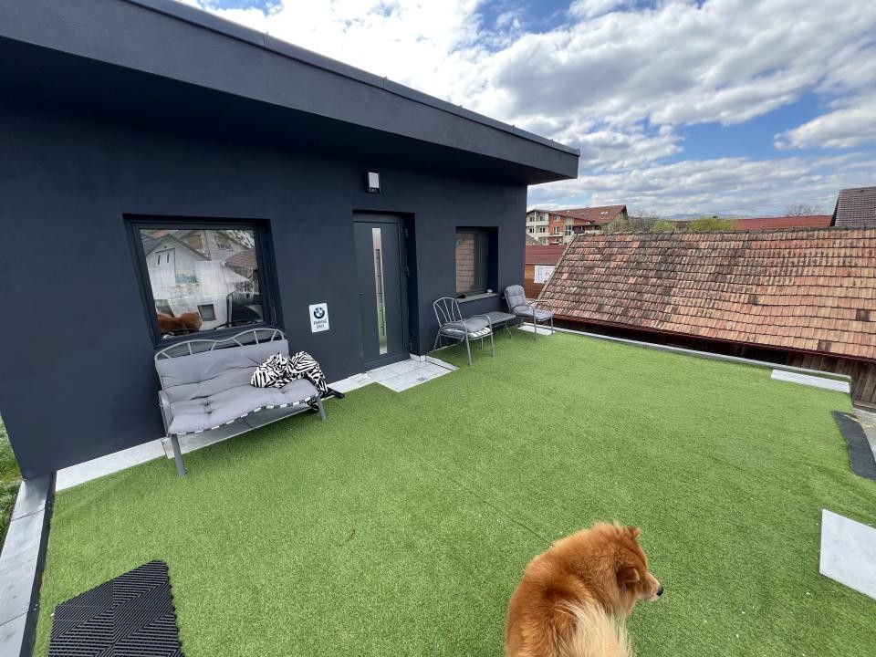 2 Case IDIVIDUALE ,TEREN 1.100 MP , Avram iancu 