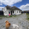 2 Case IDIVIDUALE ,TEREN 1.100 MP , Avram iancu 