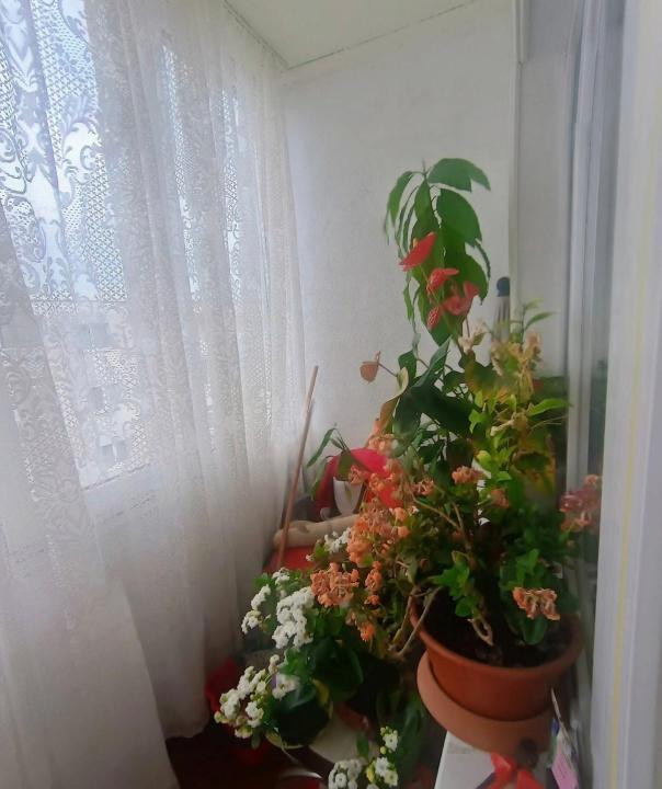 Apartament cu 2 camere,mobilat.zona semicentrala