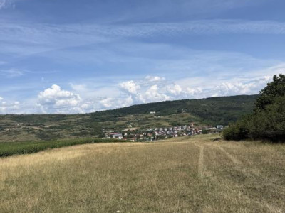 Comision 0!Teren 8660 mp toate utilitatile - Cluj Napoca - Cosminului!