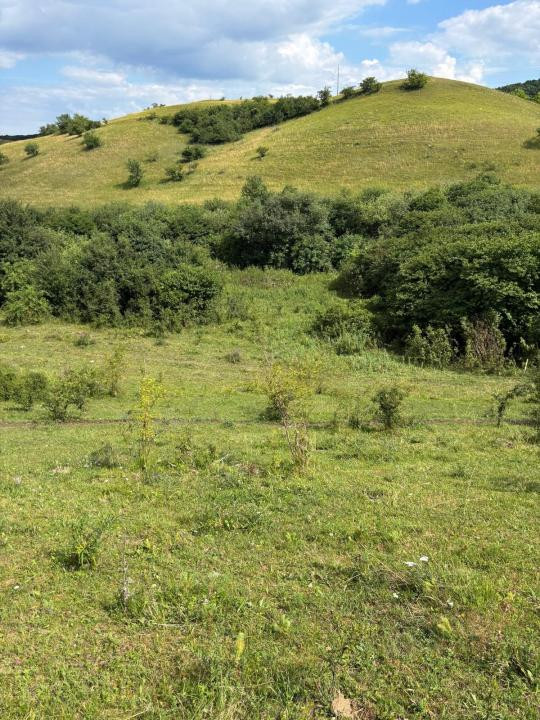 Teren de vanzare,  Vlaha , 2200 mp. INVESTITIE 