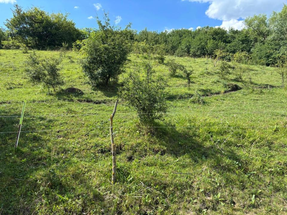 Teren de vanzare,  Vlaha , 2200 mp. INVESTITIE 