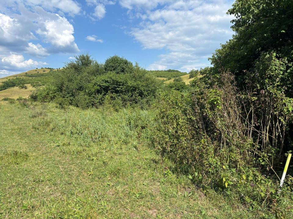 Teren de vanzare,  Vlaha , 2200 mp. INVESTITIE 