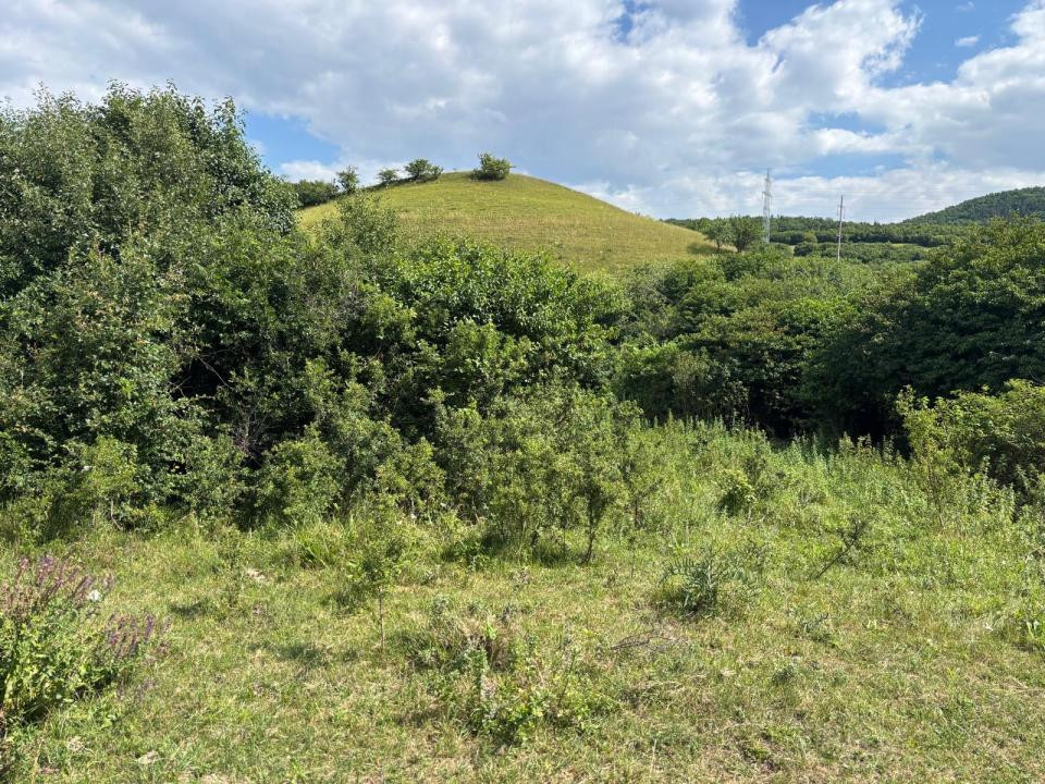 Teren de vanzare,  Vlaha , 2200 mp. INVESTITIE 