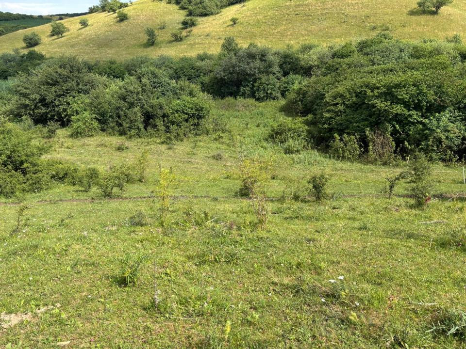 Teren de vanzare,  Vlaha , 2200 mp. INVESTITIE 
