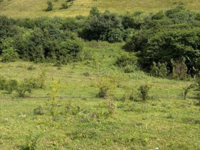Teren de vanzare,  Vlaha , 2200 mp. INVESTITIE 