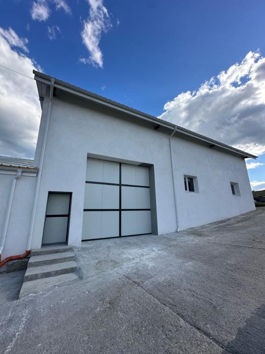 Hală 200 mp, renovată, acces TIR, utilități disponibile, zona Dealul Fanatelor