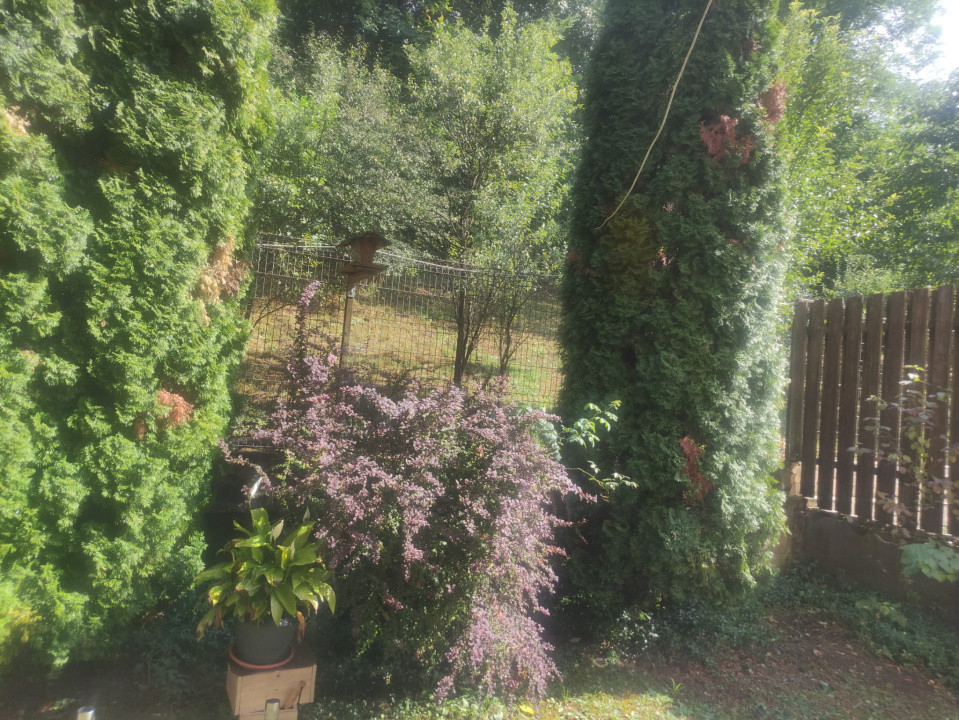 Apartament cu 3 camere, 2 parcari, zona Fagului