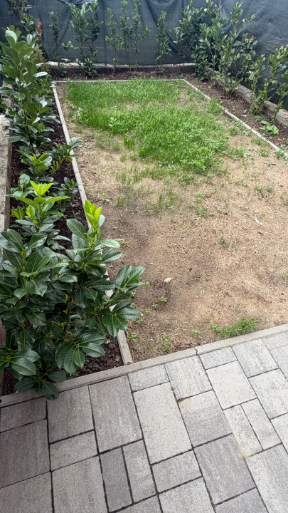 Apartament de inchiriat PET FRIENDLY, 4 camere si gradina zona BMW!