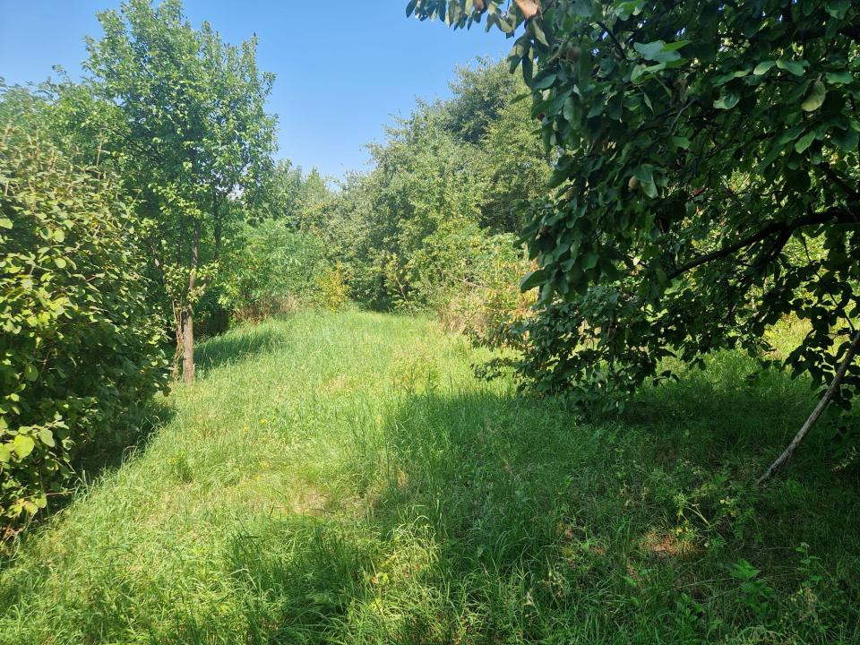 Teren intravilan, construibil, 891 mp, Zona Feleacu