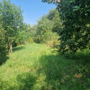 Teren intravilan, construibil, 891 mp, Zona Feleacu