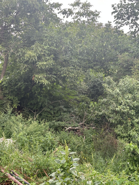 Teren intravilan 1065 MP ,pentru constructie duplex , zona Manastur Cluj