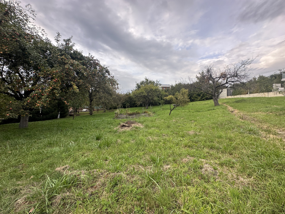 Teren intravilan  de 855 mp ,FAGET, oportunitate investitie casa individuala