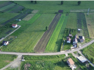 Teren intravilan de 6000mp, plat, zona Salistea Noua