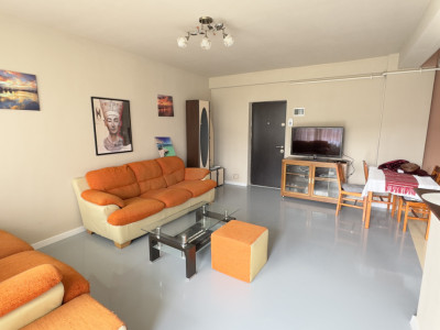 Apartament 2 Camere, 51 mp, Zona Terra